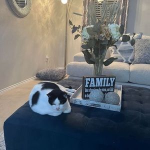 Meet your Posher, Claudia